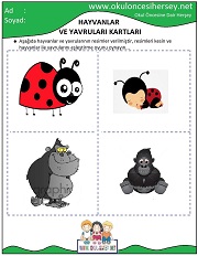 Hayvanlar ve Yavruları Eğitici Kartları